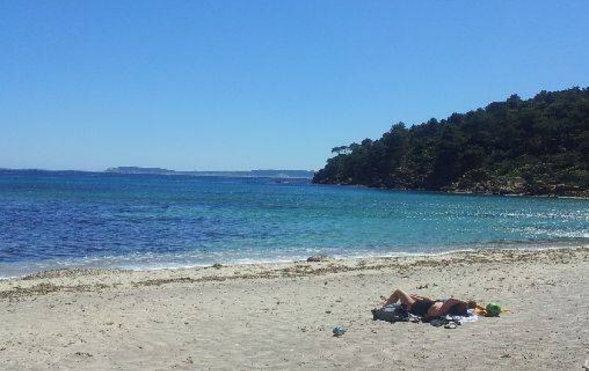 Location de vacances - Appartement à Le Lavandou