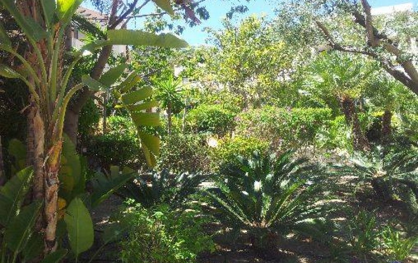 Location de vacances - Appartement à Le Lavandou