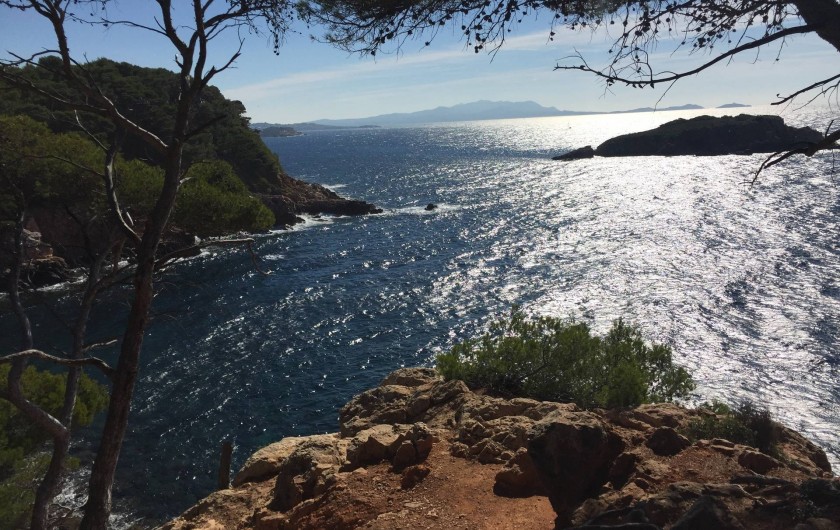 Location de vacances - Appartement à Saint-Cyr-sur-Mer - Les Calanques accessibles à pieds dès 40'