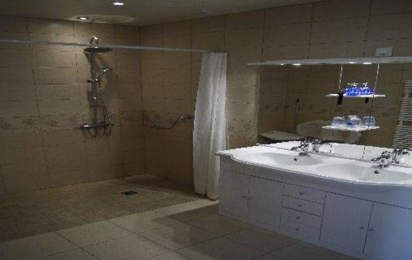 Location de vacances - Gîte à Neuvy-en-Mauges