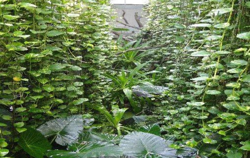 Location de vacances - Gîte à Neuvy-en-Mauges