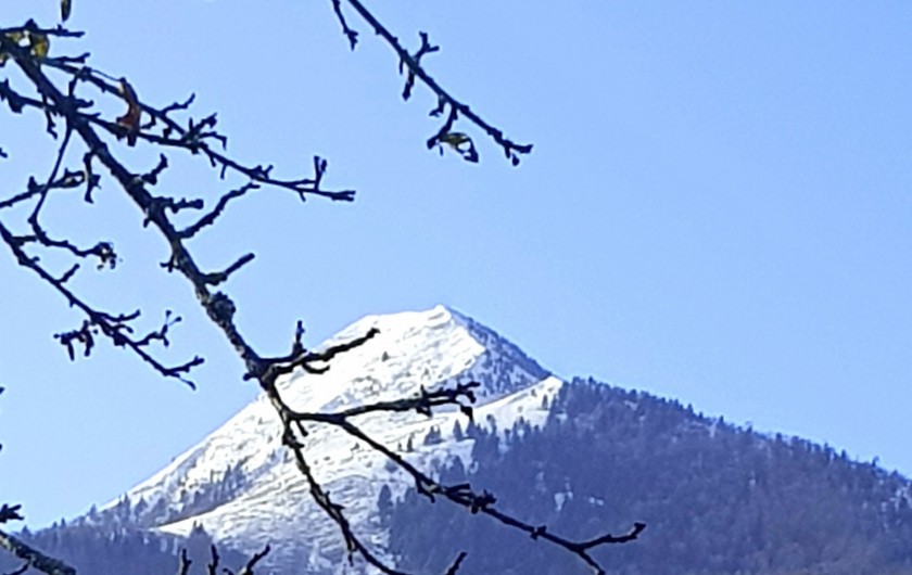 Location de vacances - Appartement à Sengouagnet - Vue sur le Cagire