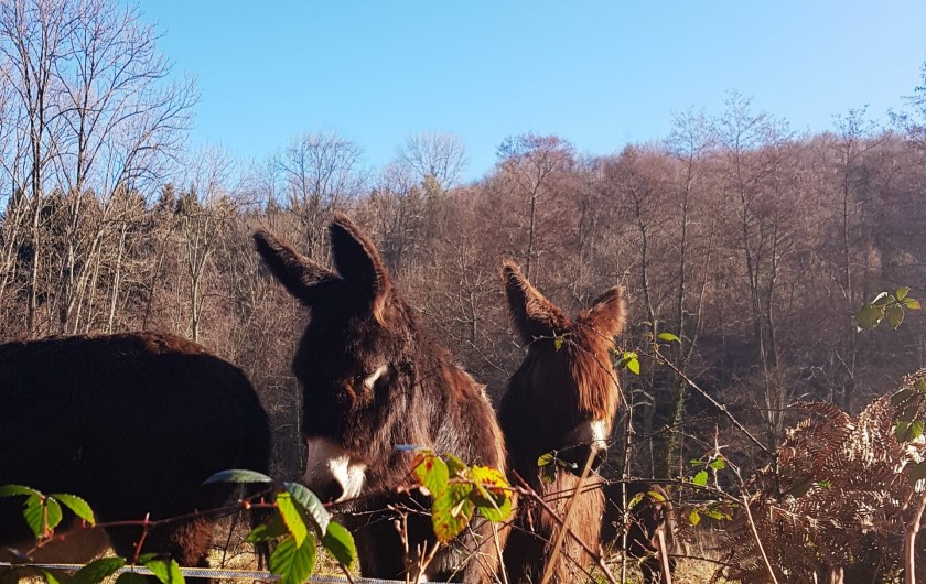Location de vacances - Appartement à Sengouagnet - Au fil des ballades