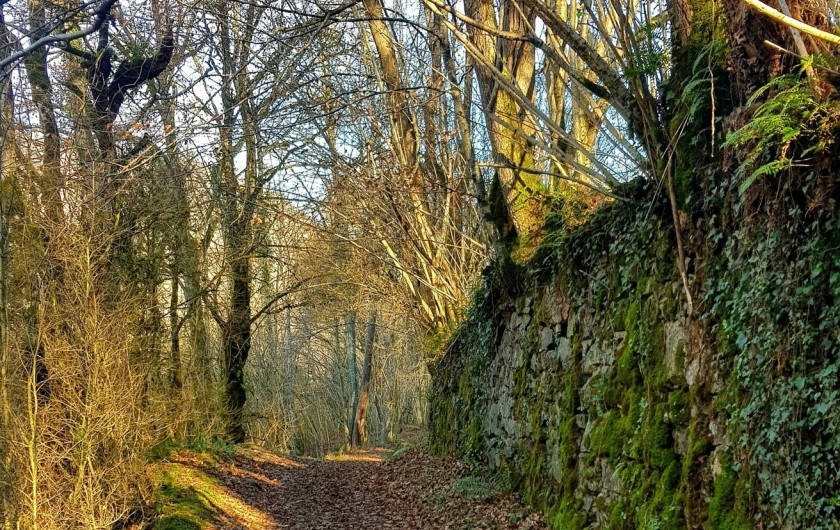 Location de vacances - Appartement à Sengouagnet - Des parcours randonnées pédestre et VTT
