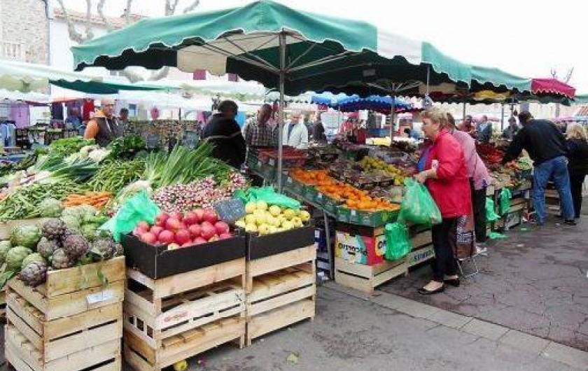 Location de vacances - Maison - Villa à Port-la-Nouvelle
