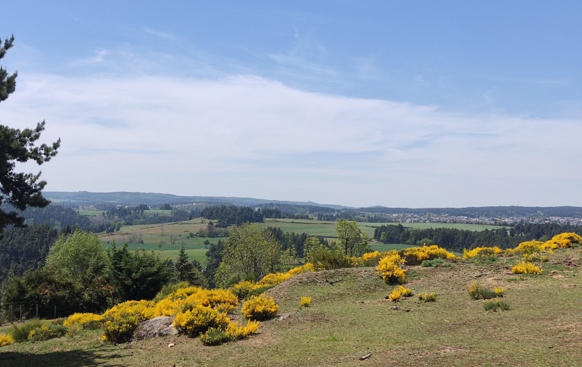 Location de vacances - Gîte à Saint-Chély-d'Apcher - Paysage