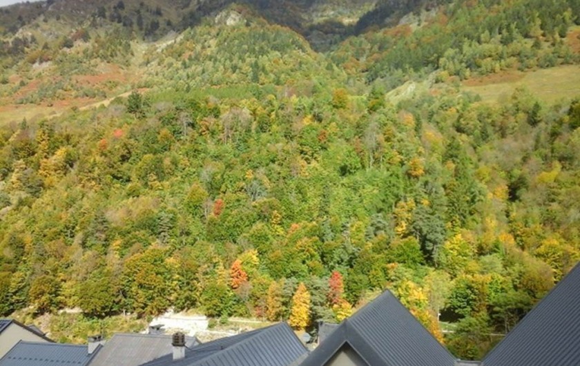 Location de vacances - Studio à Barèges