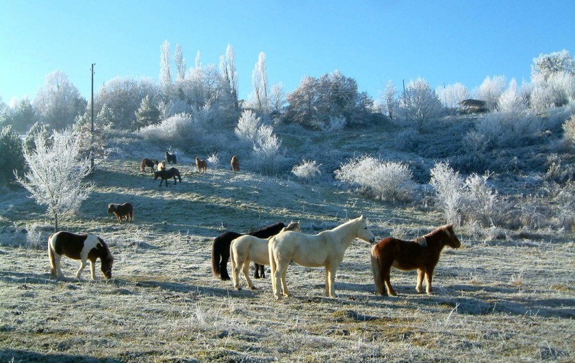 Location de vacances - Gîte à Lamaguère - La magie de l'hiver en liberté!