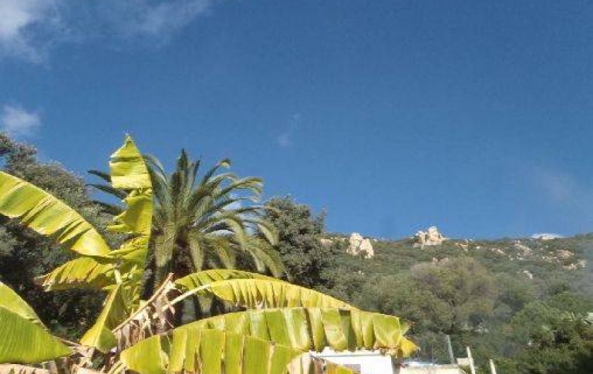 Location de vacances - Villa à Ajaccio