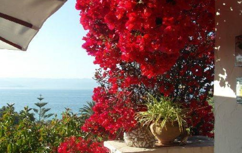 Location de vacances - Villa à Ajaccio