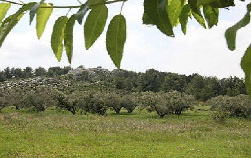 Location de vacances - Maison - Villa à Paradou