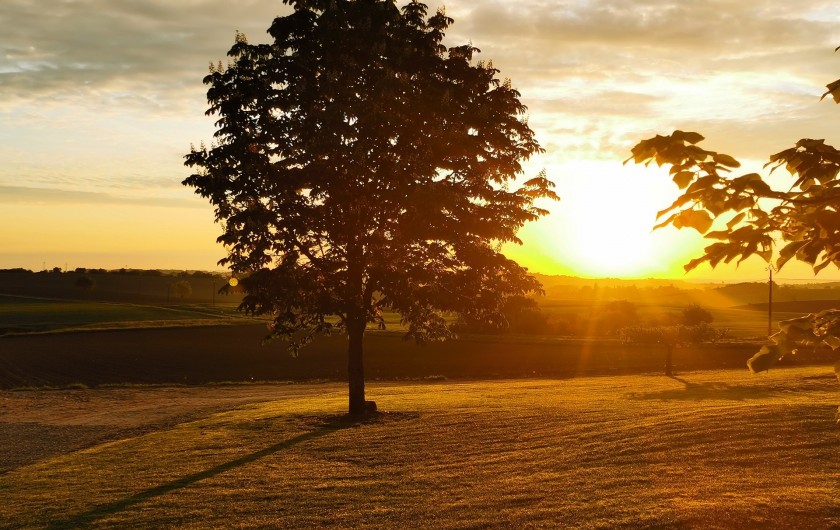 Location de vacances - Gîte à Garrigues