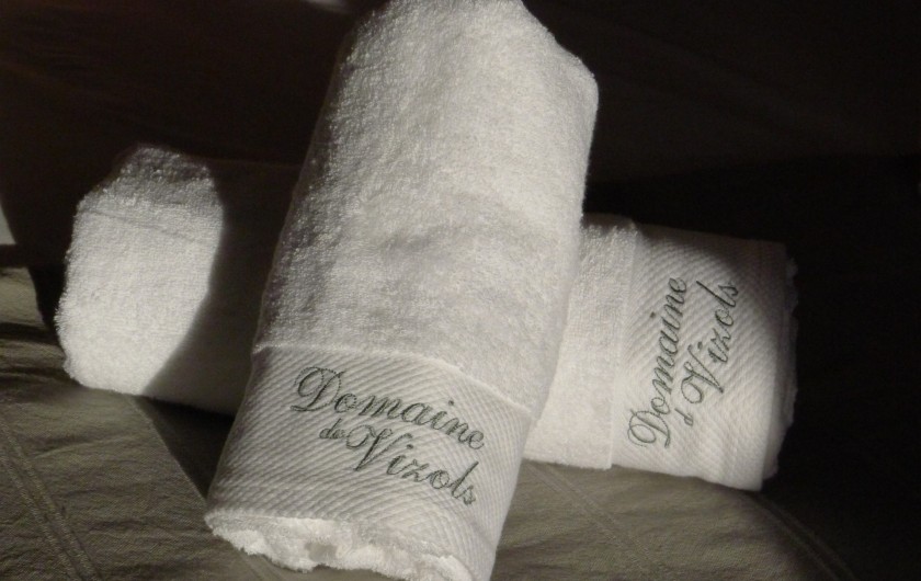 Location de vacances - Gîte à Garrigues