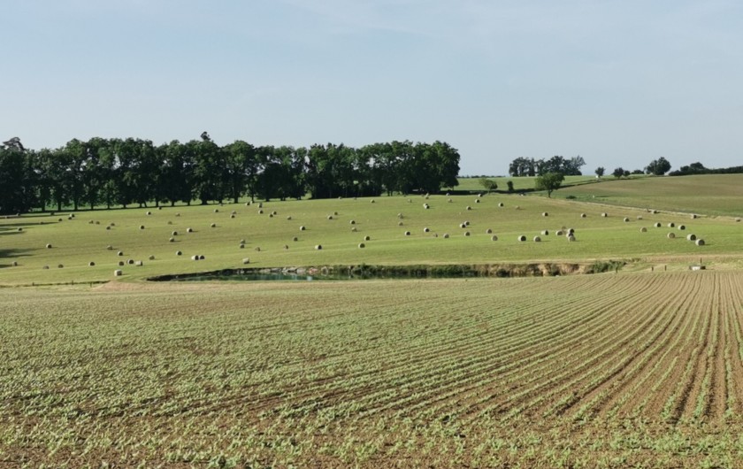 Location de vacances - Gîte à Garrigues