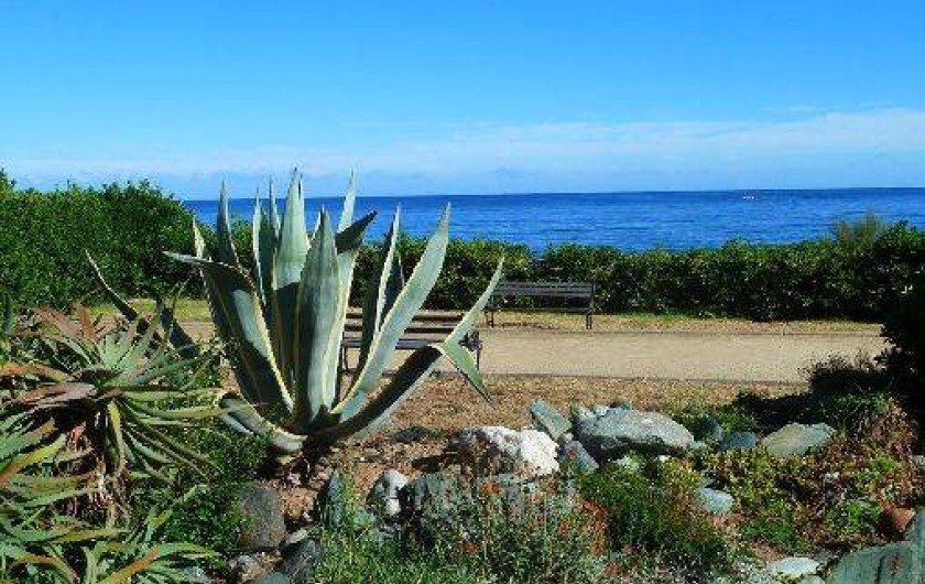 Location de vacances - Appartement à Saint-Florent