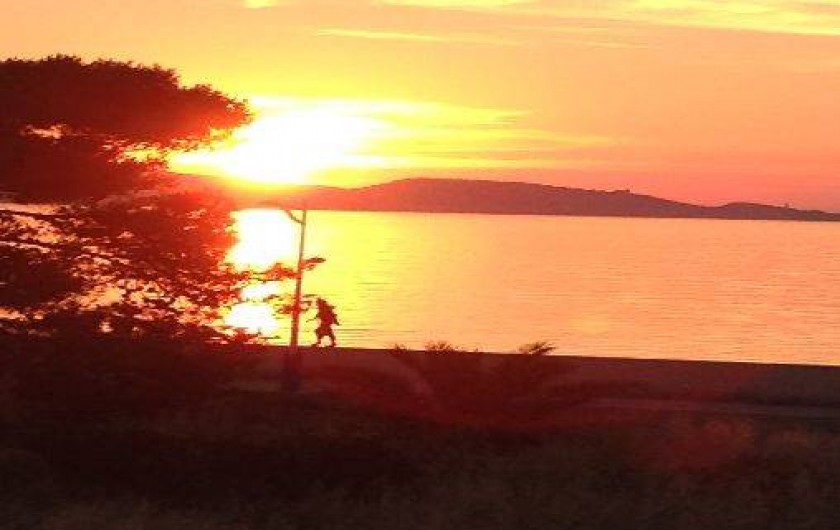 Location de vacances - Appartement à Saint-Florent