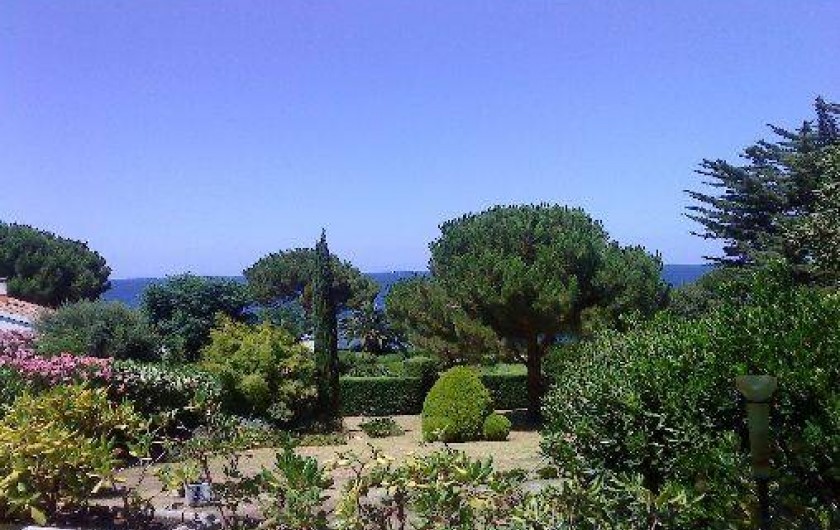 Location de vacances - Appartement à Saint-Florent