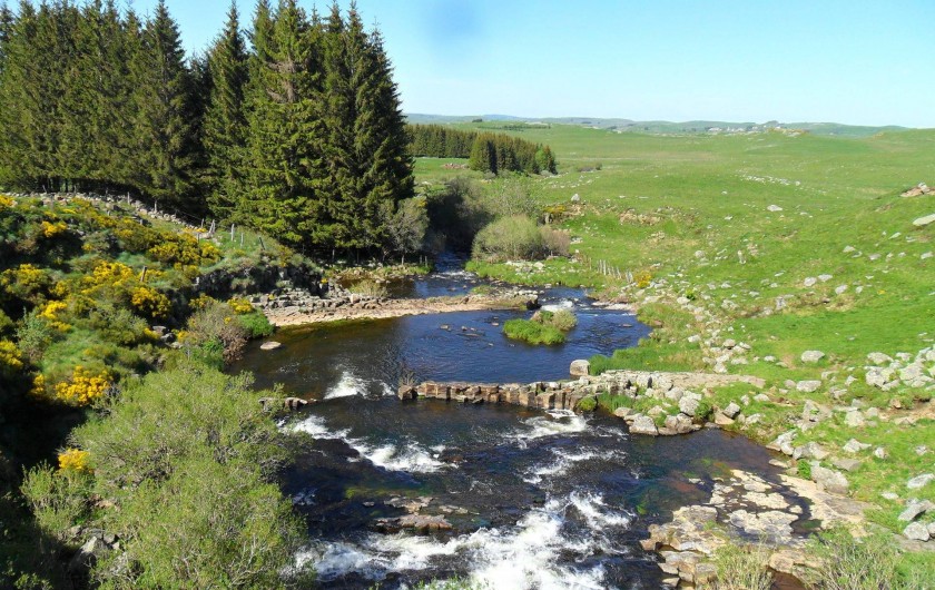 Location de vacances - Gîte à Saint-Pierre-de-Nogaret - Sur l'Aubrac