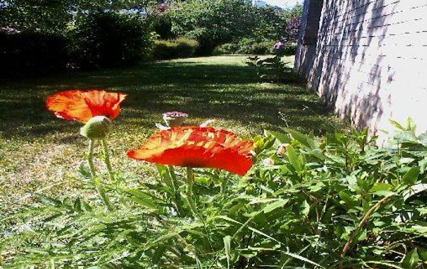 Location de vacances - Maison - Villa à Merlimont