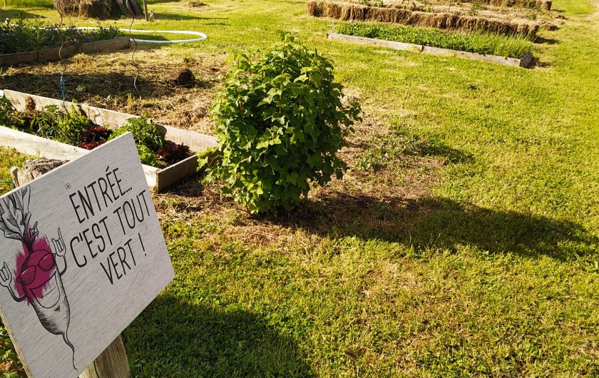 Location de vacances - Gîte à Birac - POTAGER