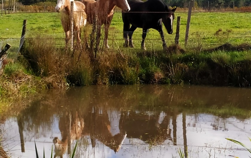 Location de vacances - Gîte à Birac