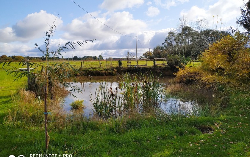 Location de vacances - Gîte à Birac