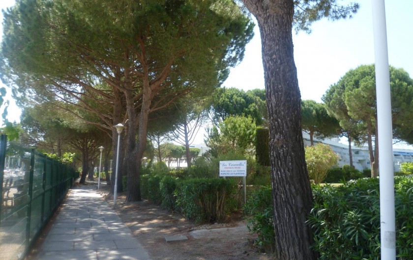 Location de vacances - Appartement à Le Grau-du-Roi - Chemin piéton pour se rendre à la plage