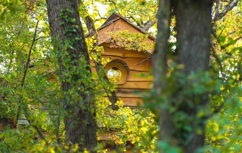Location de vacances - Cabane dans les arbres à Clairac