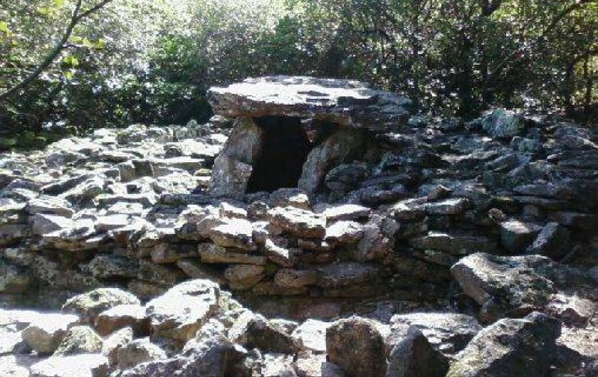 Location de vacances - Villa à Boisset-et-Gaujac