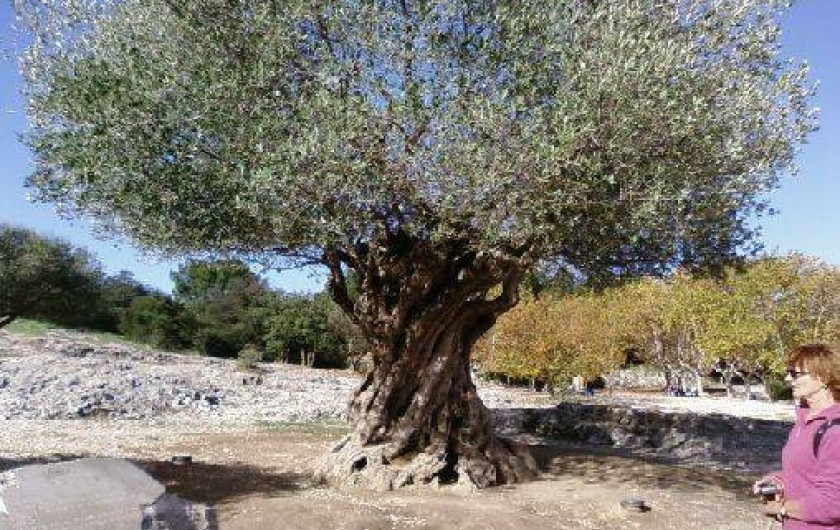 Location de vacances - Villa à Boisset-et-Gaujac