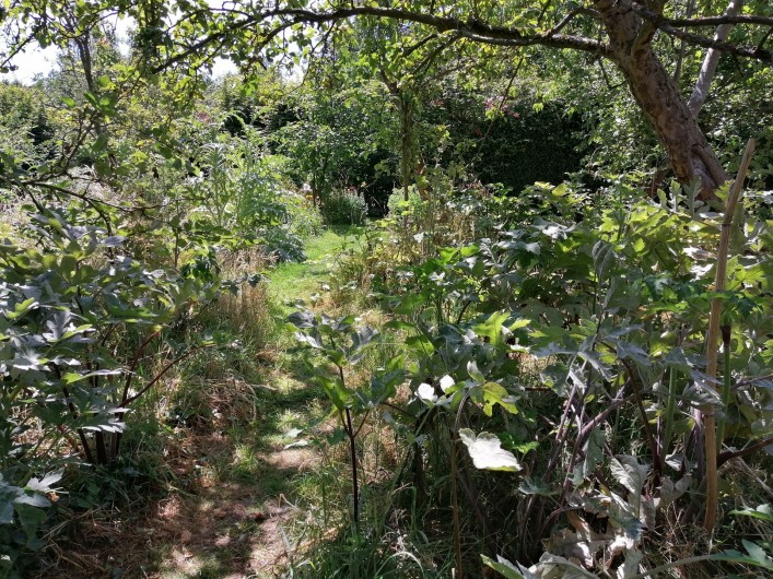 Location de vacances - Appartement à Haplincourt - Jardin