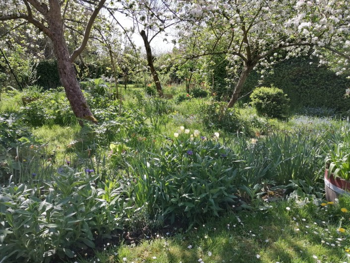 Location de vacances - Appartement à Haplincourt - Jardin autre vue