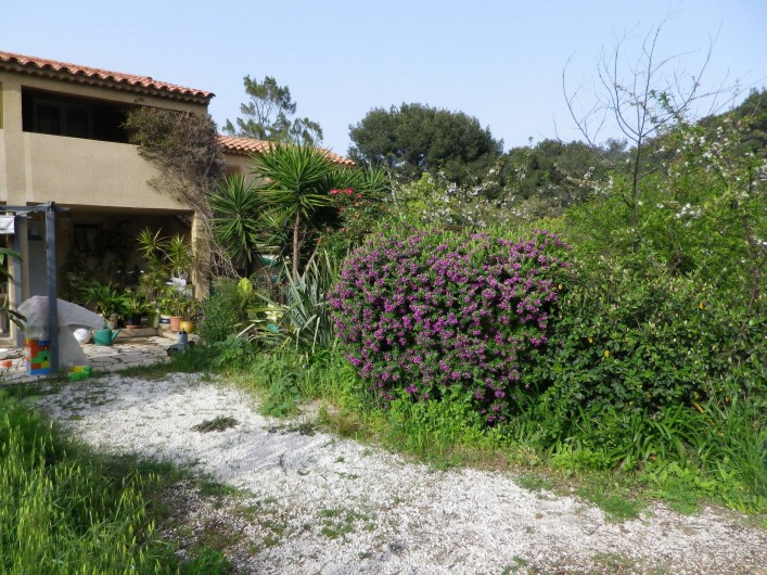 Location de vacances - Villa à Hyères - jardin de la maison