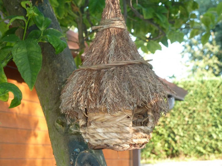 Location de vacances - Chalet à Pozzuoli - la maison des oiseaux