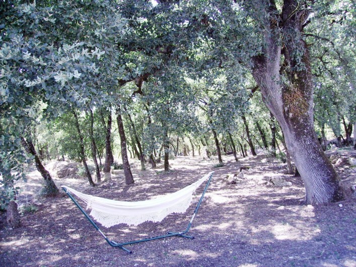 Location de vacances - Chambre d'hôtes à Alcobaça - bois de chênes hammack
