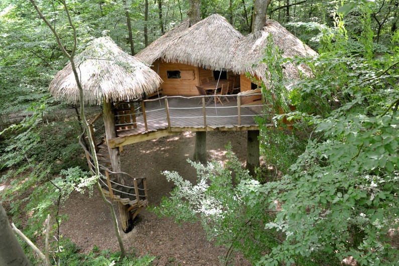 Location de vacances - Cabane dans les arbres à Saint-Germain-des-Essourts - Cabane "Robin des Bois"