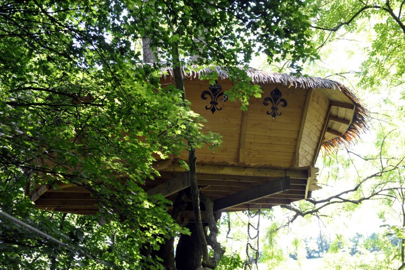 Location de vacances - Cabane dans les arbres à Saint-Germain-des-Essourts - Cabane "Soleil Royal"