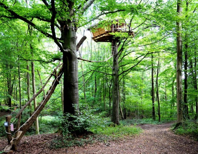 Location de vacances - Cabane dans les arbres à Saint-Germain-des-Essourts - Cabane "Berceau"
