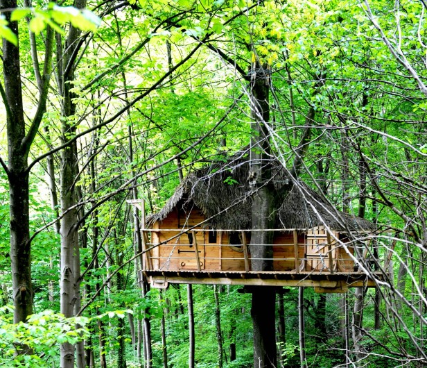 Location de vacances - Cabane dans les arbres à Saint-Germain-des-Essourts - Cabane "Fer à Cheval"