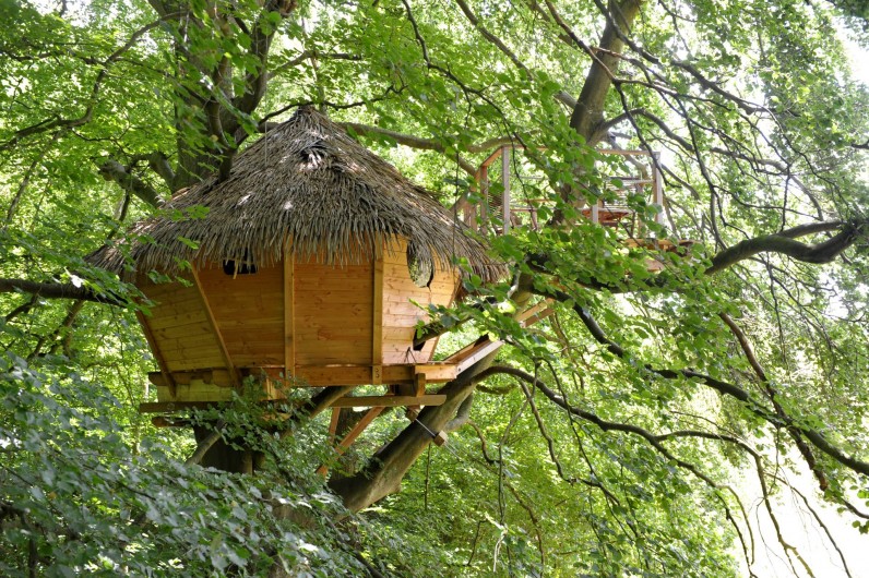 Location de vacances - Cabane dans les arbres à Saint-Germain-des-Essourts - Cabane "Grand Hêtre"