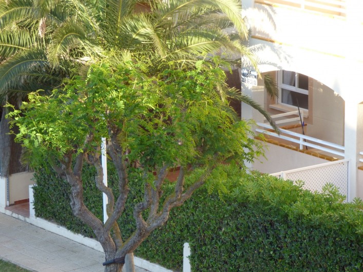 Location de vacances - Appartement à Dénia