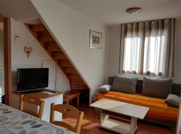 Location de vacances - Chalet à Le Dévoluy - Salon avec canapé convertible 2 places