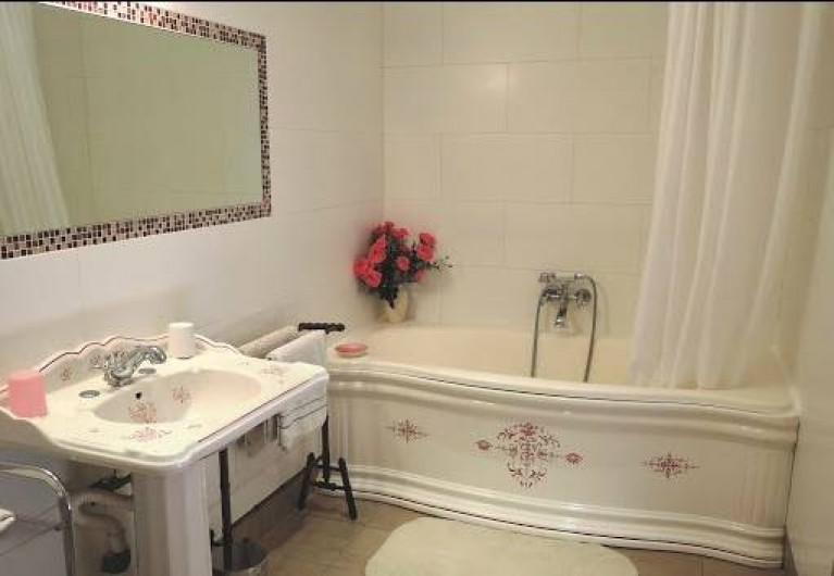 Location de vacances - Gîte à Neung-sur-Beuvron - salle de bain suite Attelage