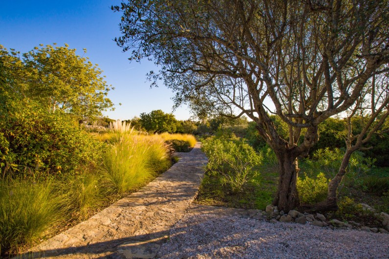 Location de vacances - Maison - Villa à Santa Bárbara de Nexe