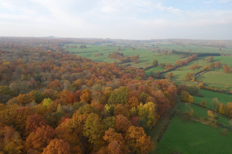 Location de vacances - Cabane dans les arbres à Signy-l'Abbaye - vue de drone de la forêt et des pâturages