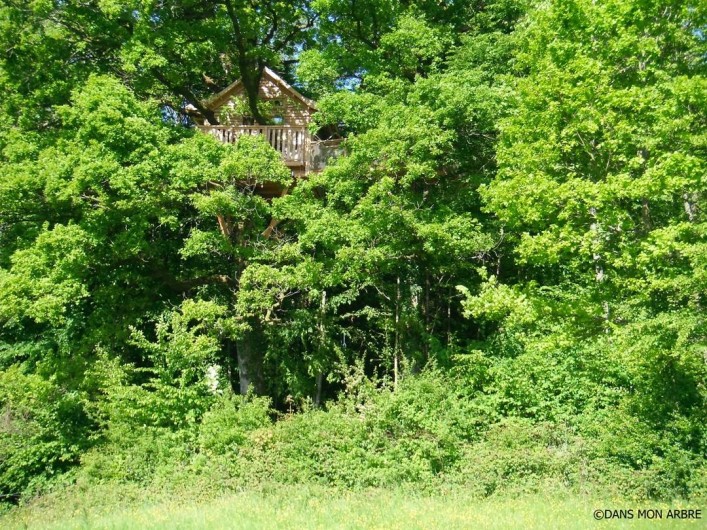 Location de vacances - Cabane dans les arbres à Signy-l'Abbaye - La héronnière vue de la pâture