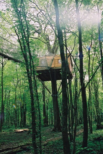 Location de vacances - Cabane dans les arbres à Signy-l'Abbaye - La Sous-bois, en plein forêt  perchée à 8 mètres