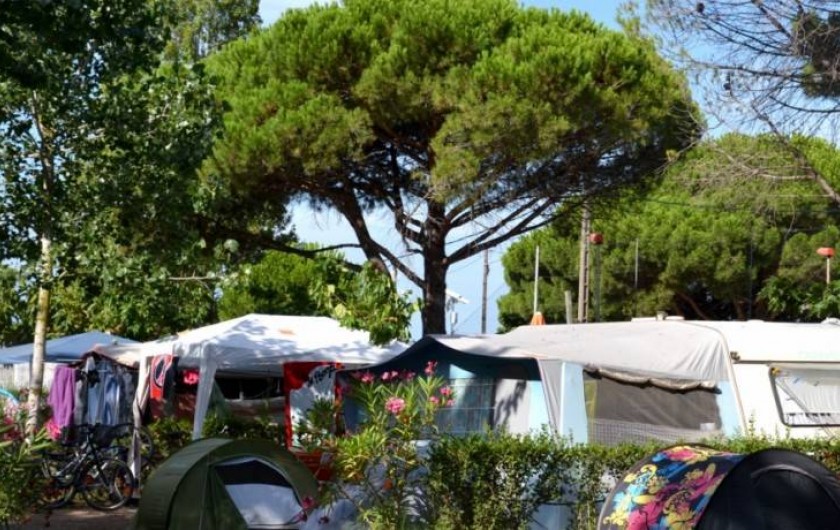 Location de vacances - Camping à Le Grau d'Agde