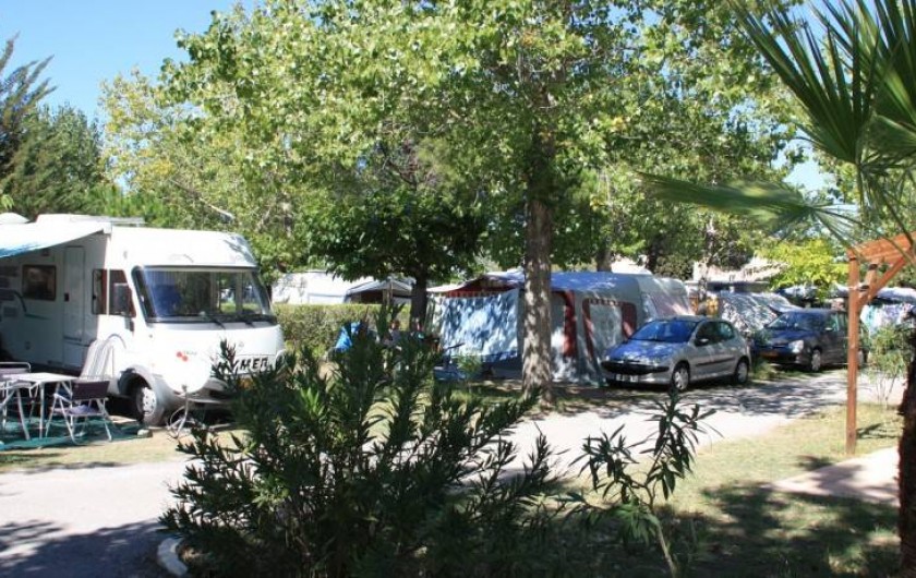 Location de vacances - Camping à Le Grau d'Agde