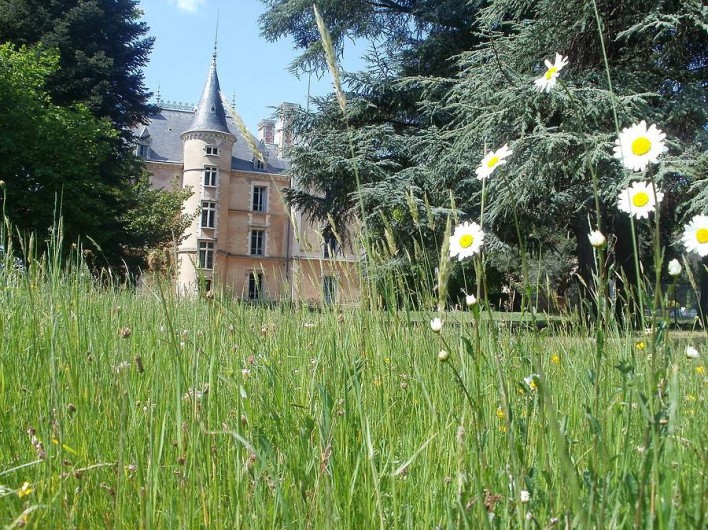 Location de vacances - Château - Manoir à Les Halles
